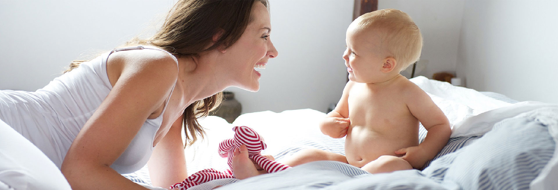 Rotolo Anatomic SiegfriedKummer